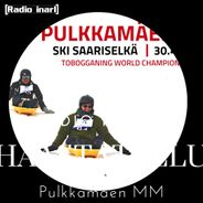 Pulkkamäen MM